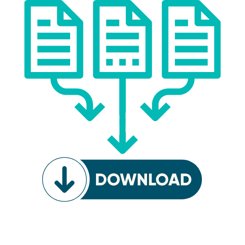 Data Download Icon